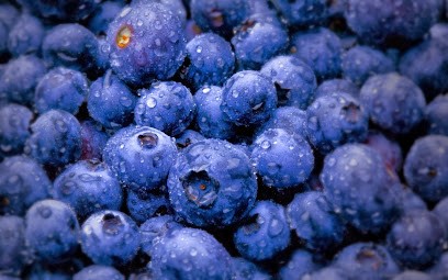 Delaye Stéphanie Nutritionniste-Nutrithérapeute, Naturopathie, Docteur En Pharmacie, Nutritionniste à Ricaud