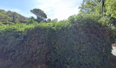 Johanna Moreau - Diététicienne Nutritionniste, Diététicien à Saint-Paul-de-Vence