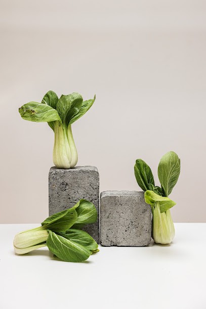 Christelle Boche - Diététicienne Nutritionniste, Diététicien à Saint-Gilles-Croix-de-Vie