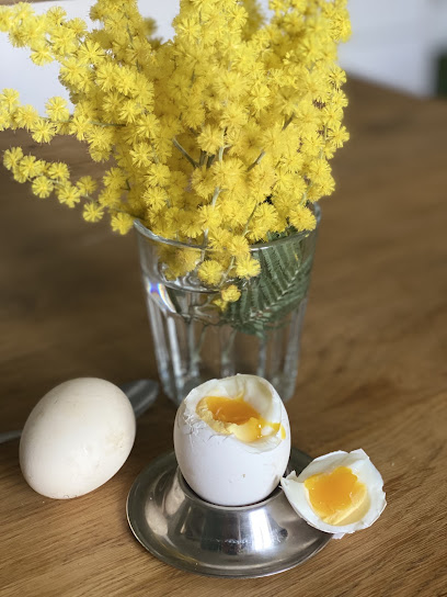 Z Nutrition - Diététicienne - Zélie Minvielle, Nutritionniste à Saint-Vincent-de-Tyrosse