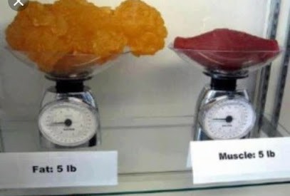 A Toutes Formes - Nutrition, Nutritionniste à Pithiviers